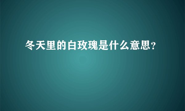 冬天里的白玫瑰是什么意思？