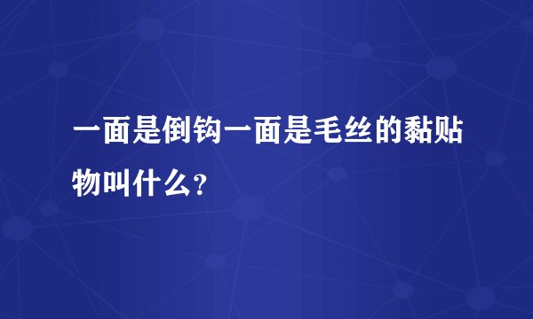 一面是倒钩一面是毛丝的黏贴物叫什么？