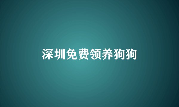 深圳免费领养狗狗