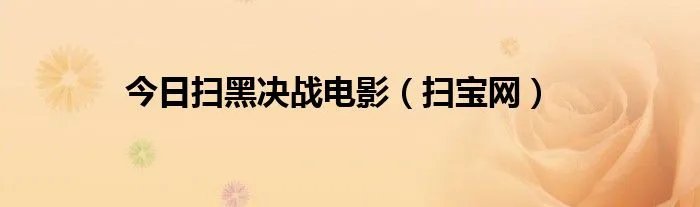 今日扫黑决战电影（扫宝网）