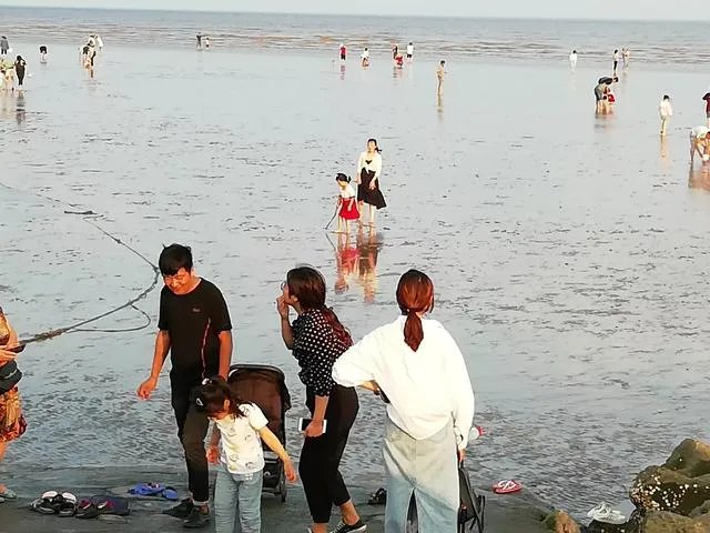 请问上海周边100公里左右自驾游有哪些景点推荐?