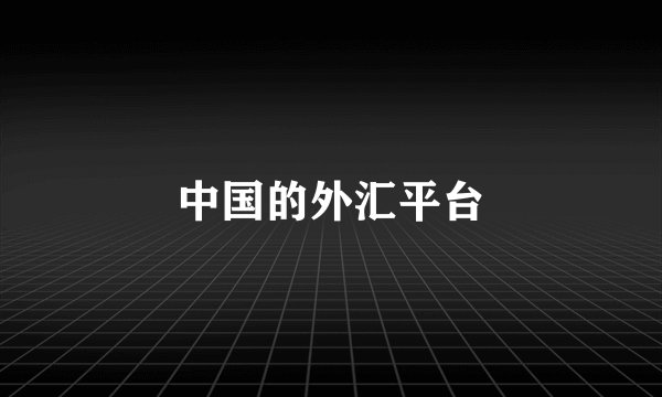 中国的外汇平台