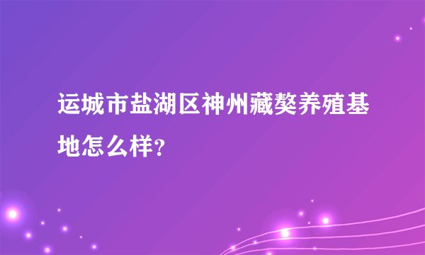运城市盐湖区神州藏獒养殖基地怎么样?