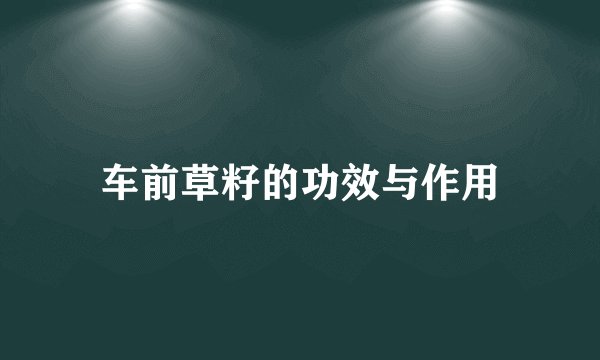 车前草籽的功效与作用
