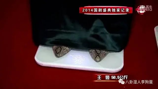 上镜胖十斤是真的吗?明星的真实体重是多少?