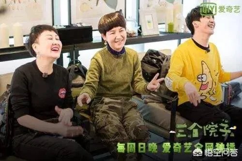 如何评价《三个院子》这部综艺?