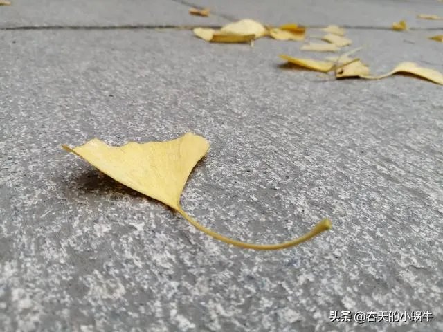 旅游是夫妻二人玩的舒服?还是多个朋友一起旅游更加有趣?