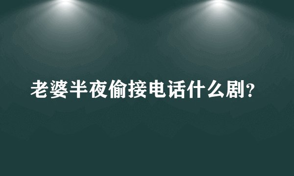 老婆半夜偷接电话什么剧？