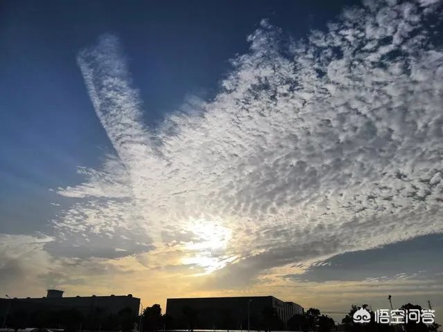 孙兴慜一条龙破门，对此你怎么看？国足有这样的球员吗？