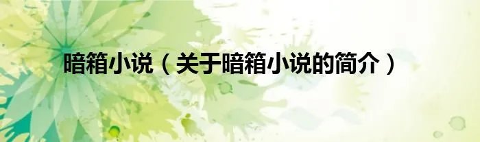 暗箱小说（关于暗箱小说的简介）