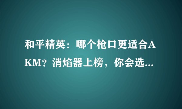和平精英：哪个枪口更适合AKM？消焰器上榜，你会选择哪一个？