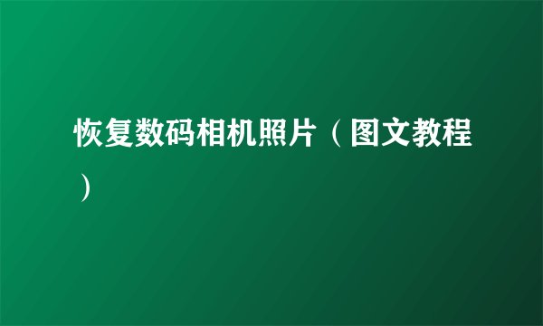 恢复数码相机照片（图文教程）