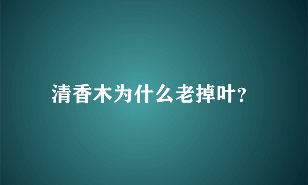 清香木为什么老掉叶？