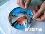 图文解析教你制作个性水晶影像