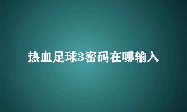 热血足球3密码在哪输入