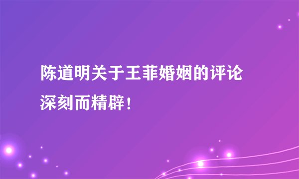 陈道明关于王菲婚姻的评论　深刻而精辟！