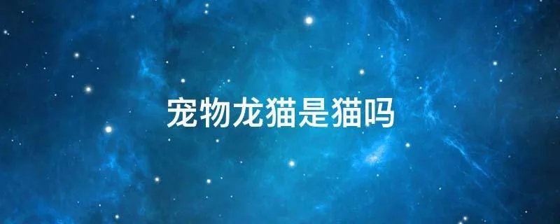宠物龙猫是猫吗