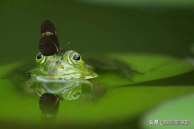朋友家里的工作要不要去呢?在朋友家工作有什么需要注意的吗?