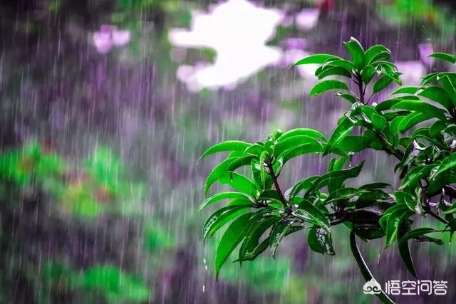 水果价格猛涨,果农还是没钱赚?如何实现利润最大化?