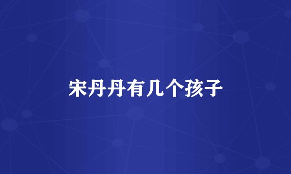 宋丹丹有几个孩子