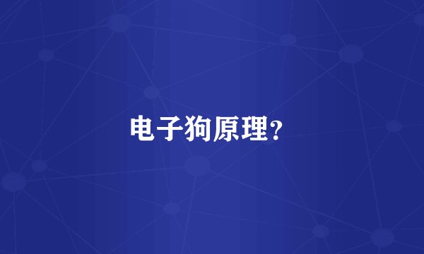 电子狗原理？