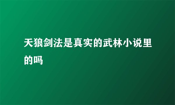 天狼剑法是真实的武林小说里的吗