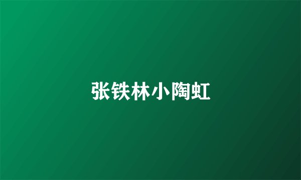 张铁林小陶虹