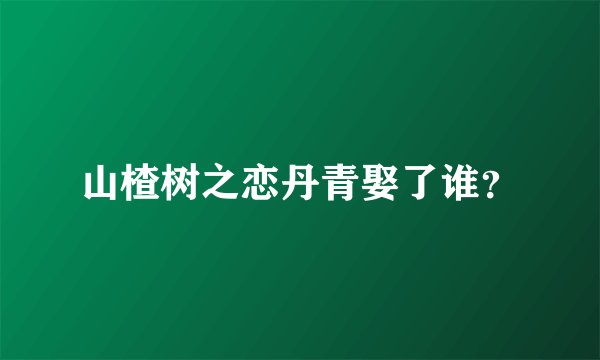 山楂树之恋丹青娶了谁？