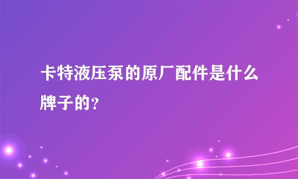 卡特液压泵的原厂配件是什么牌子的？