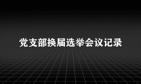 党支部换届选举会议记录
