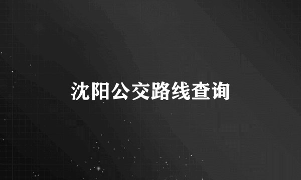 沈阳公交路线查询