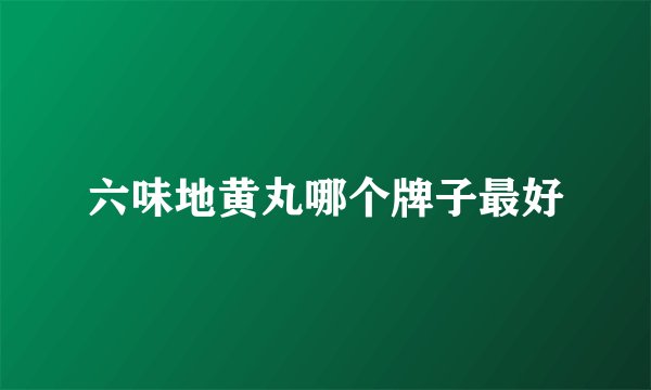 六味地黄丸哪个牌子最好
