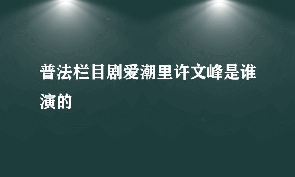 普法栏目剧爱潮里许文峰是谁演的