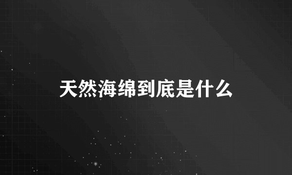 天然海绵到底是什么
