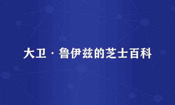 大卫·鲁伊兹的芝士百科