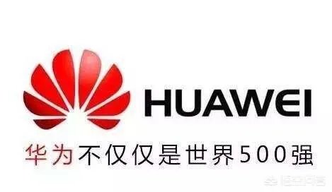 通过雕爷牛腩的衰落,创业者可以吸取哪些教训?