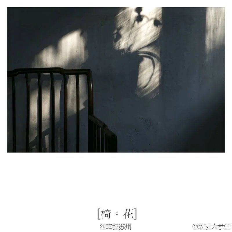 【拙政园-碎片】❤文人，墨客，初冬的拙政园。