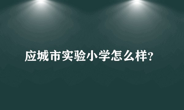 应城市实验小学怎么样？