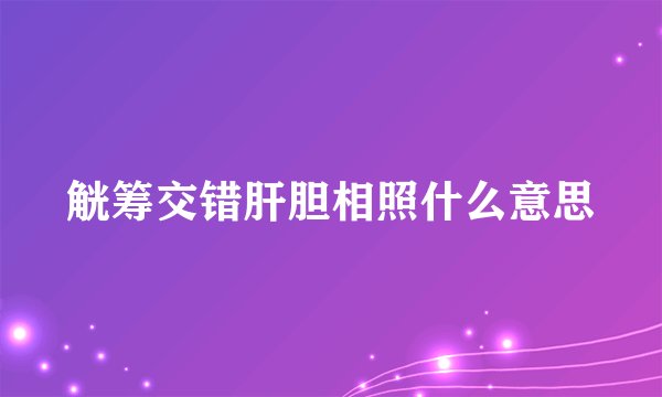 觥筹交错肝胆相照什么意思