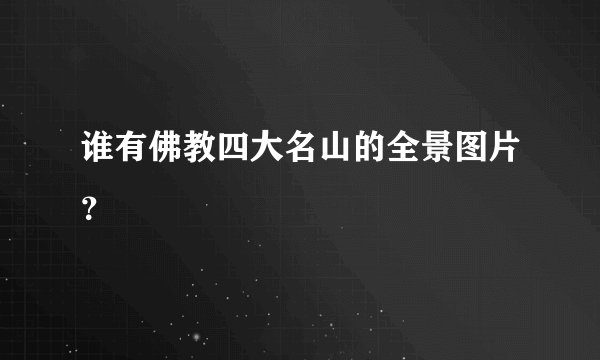 谁有佛教四大名山的全景图片？