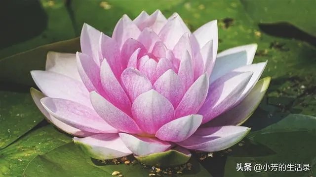 谁手机里有美女美景图片,能不能分享让大家看看?