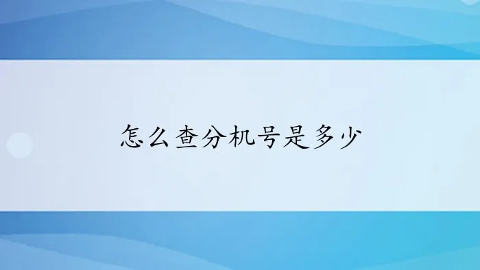 怎么查分机号是多少