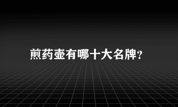 煎药壶有哪十大名牌?