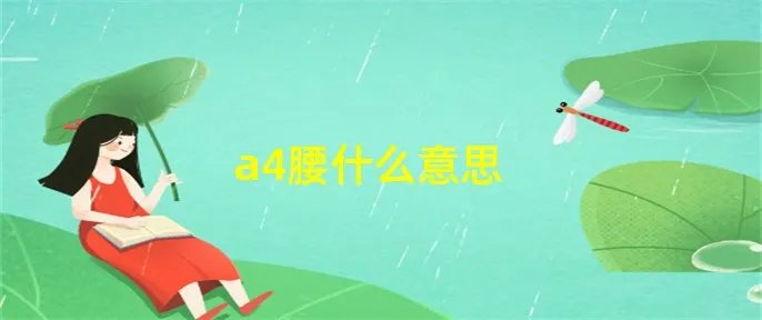 a4腰什么意思