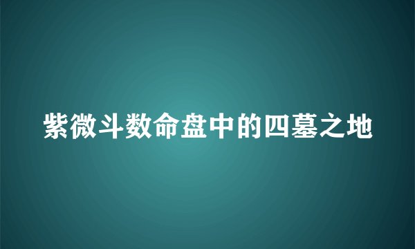 紫微斗数命盘中的四墓之地