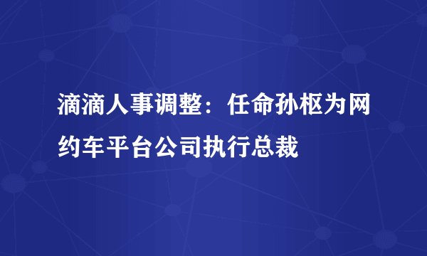滴滴人事调整:任命孙枢为网约车平台公司执行总裁
