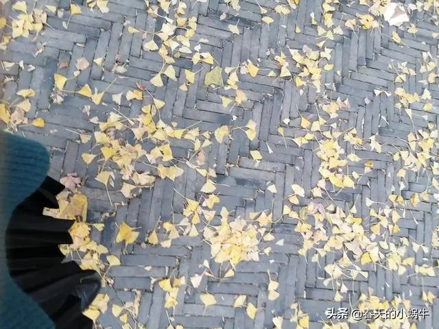 旅游是夫妻二人玩的舒服?还是多个朋友一起旅游更加有趣?