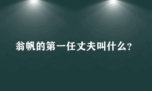 翁帆的第一任丈夫叫什么？