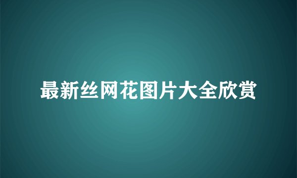 最新丝网花图片大全欣赏
