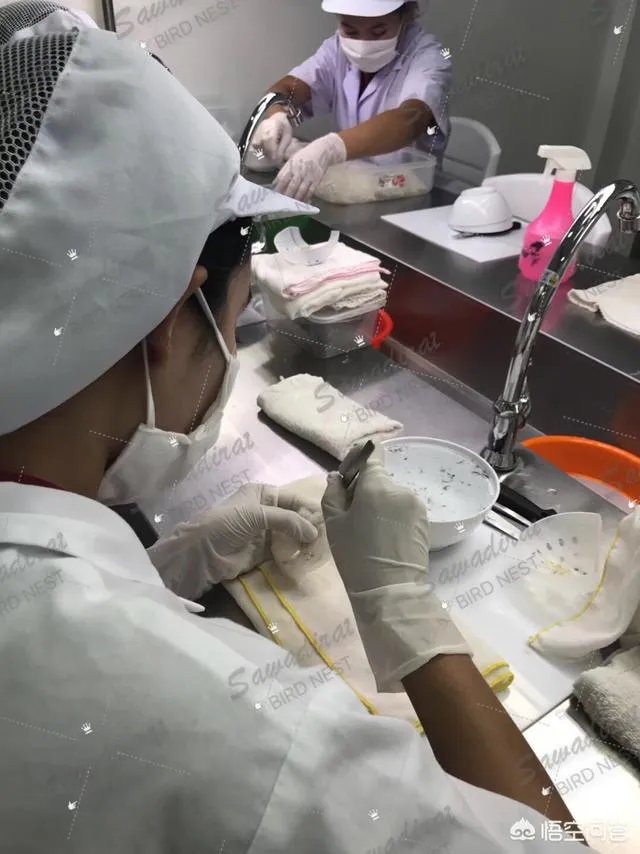 什么牌子的燕窝比较好?值得推荐的燕窝品牌有哪些?